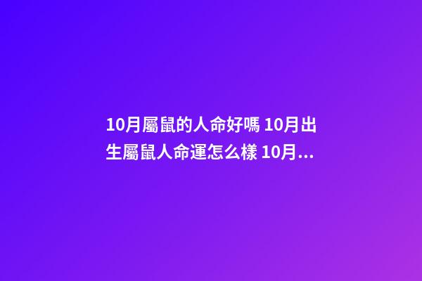 10月屬鼠的人命好嗎 10月出生屬鼠人命運怎么樣 10月屬鼠的人命好嗎-第1張-觀點-玄機派